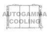 AUTOGAMMA 100021 Radiator, engine cooling